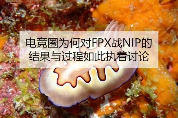 电竞圈为何对FPX战NIP的结果与过程如此执着讨论